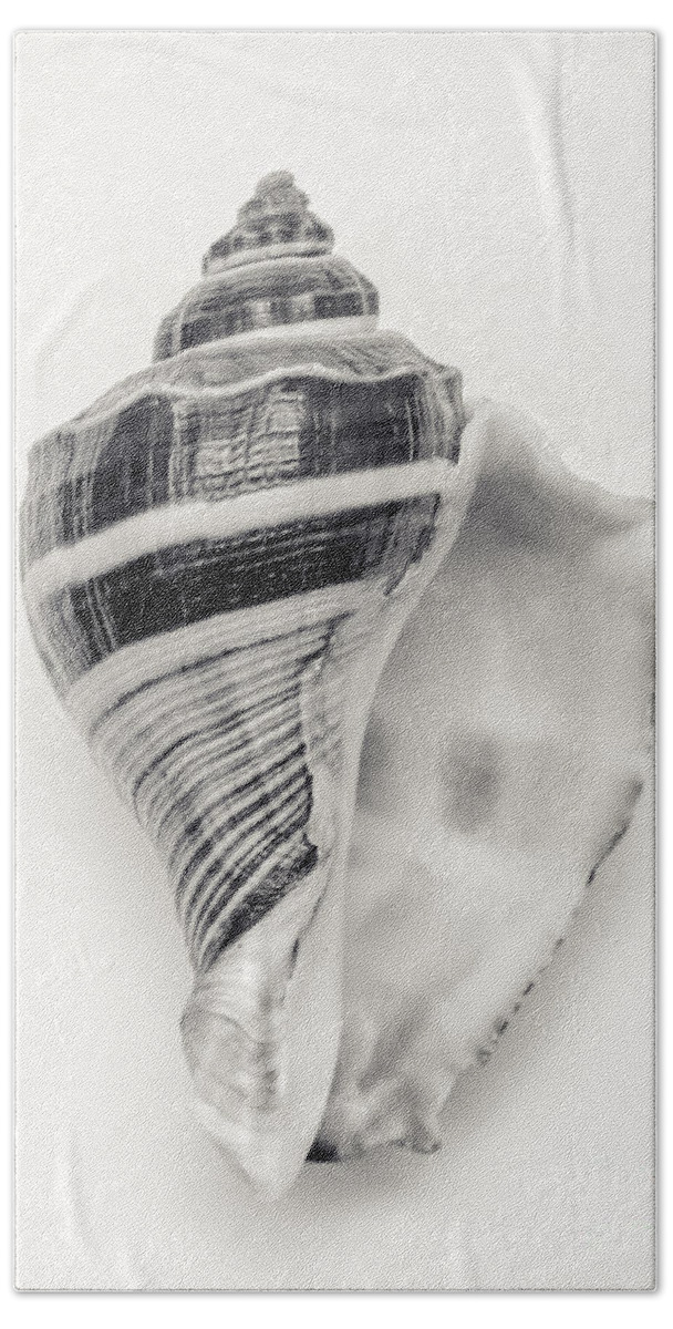 Seashell Photography Hand Towel featuring the photograph Striped Sea Shell by Lucid Mood