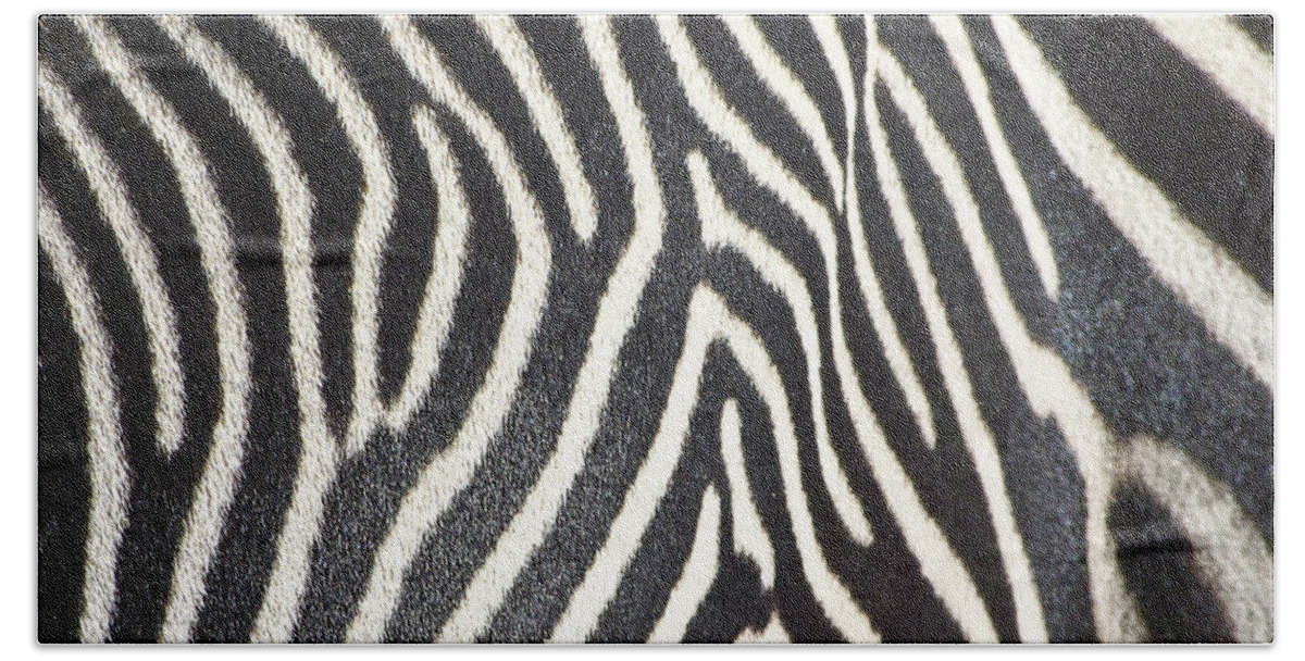 Animals Hand Towel featuring the photograph Stripes and Ripples by Kathy McClure