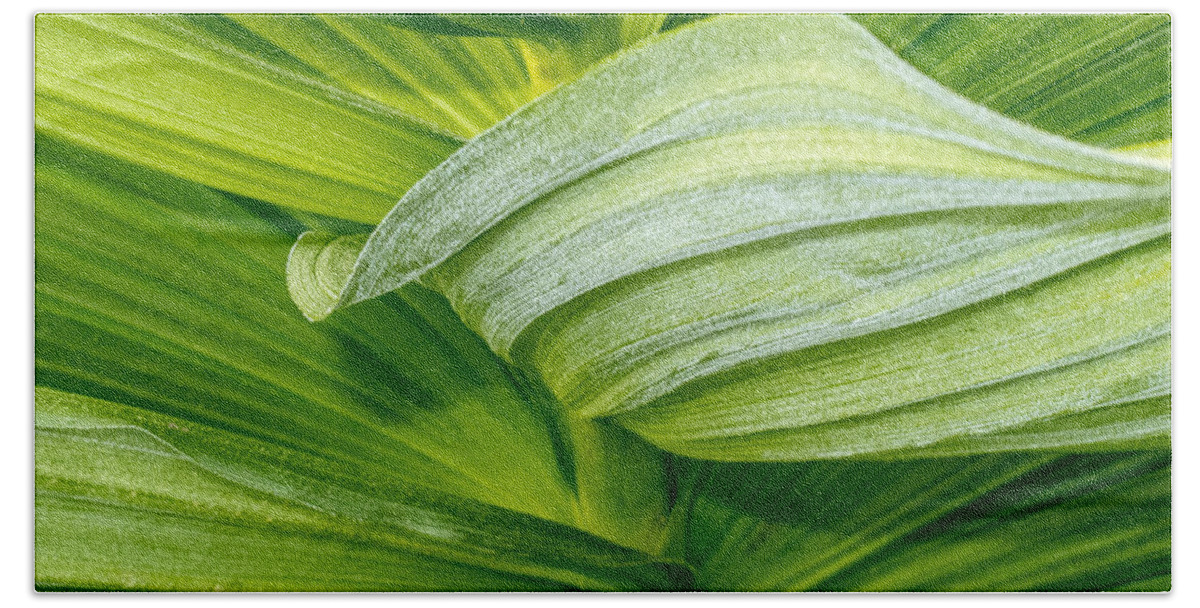 Crane Flat Bath Towel featuring the photograph Study in Green by Susan Eileen Evans