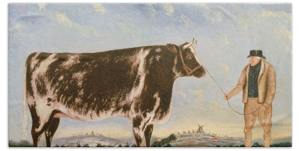 Cow Hand Towel featuring the painting Study of a Shorthorn by William Joseph Shayer