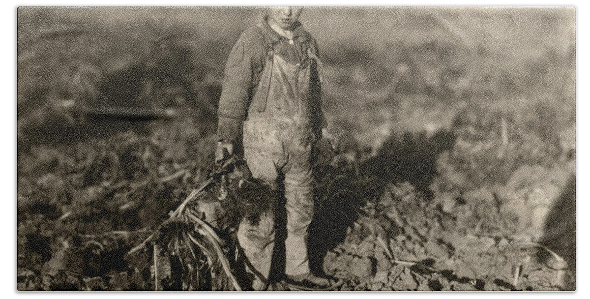 1915 Bath Towel featuring the photograph Sugar Beet Worker, 1915 by Lewis Hine