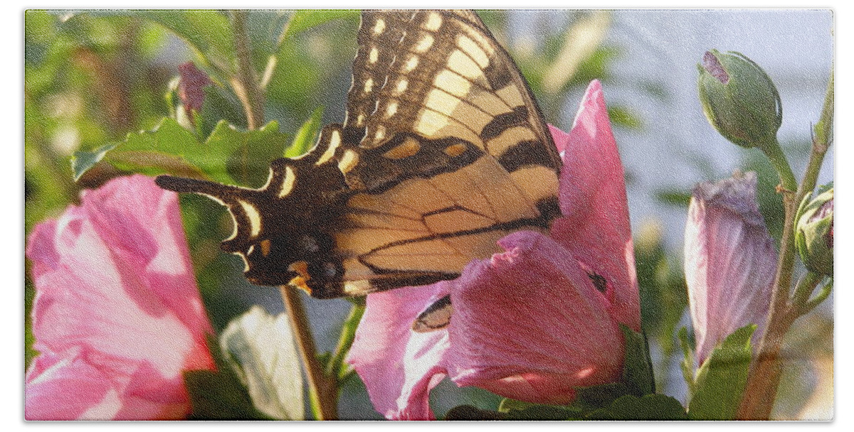 Holly Hock Hand Towel featuring the photograph Summer Butterfly by LeLa Becker
