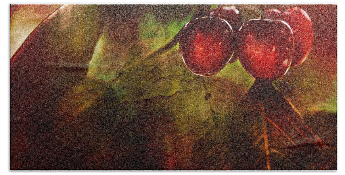 Kitchen Bath Towel featuring the photograph Summer Cherries 2 by Theresa Tahara