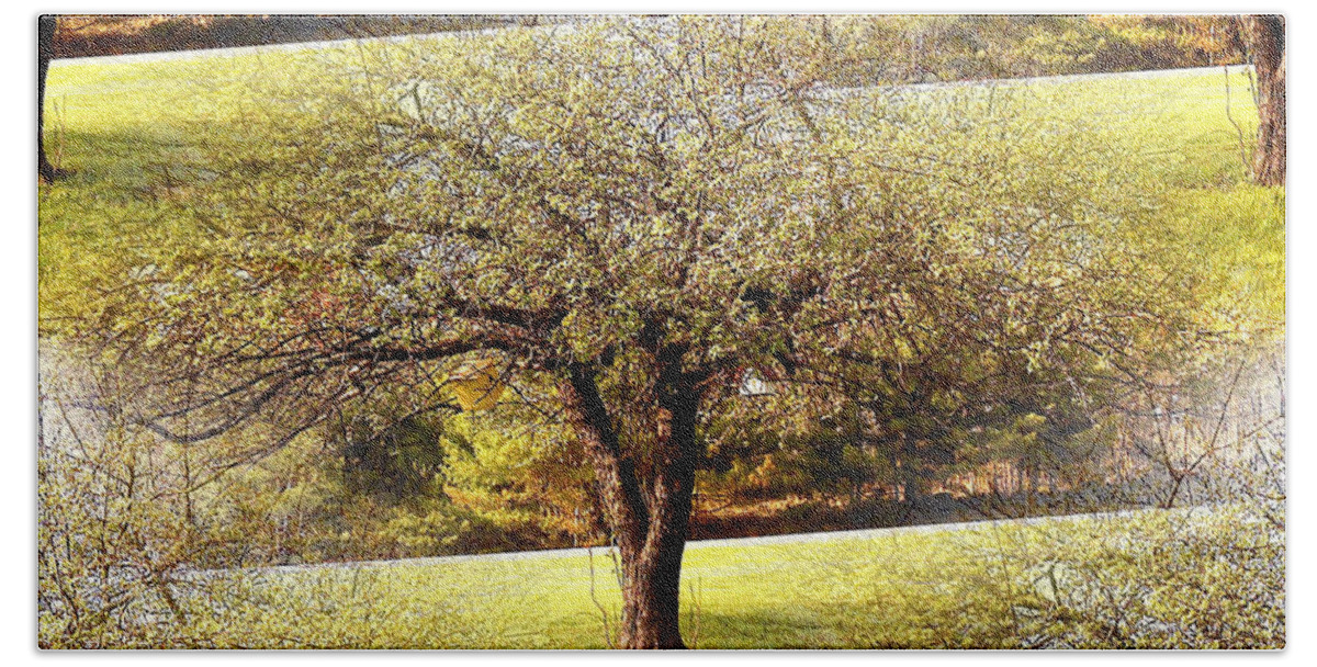Tree Hand Towel featuring the photograph Summer Orchard by Shana Rowe Jackson