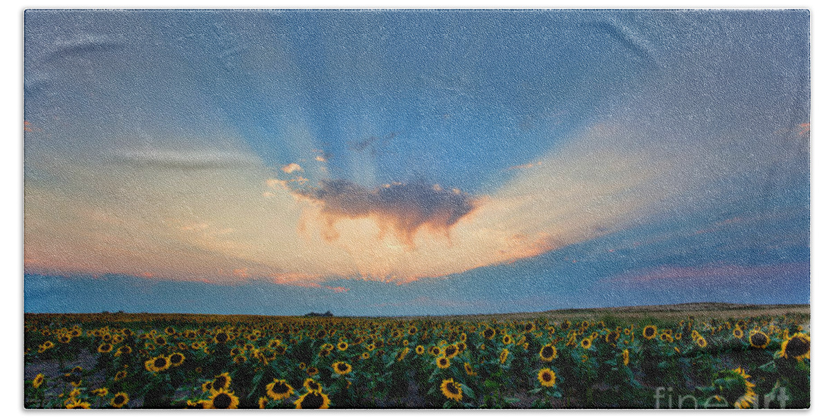 Flowers Bath Towel featuring the photograph Sunflower Field at Sunset by Jim Garrison
