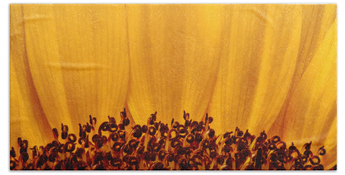 Flower Hand Towel featuring the photograph Sunflower by Ron Pate