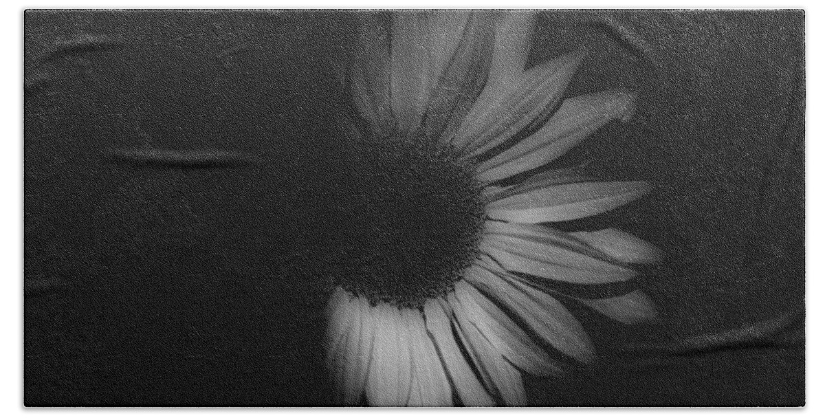 Sunflower-shaded-32-black And White Sunflower Bath Towel featuring the photograph Sunflower-shaded-32 by Rae Ann M Garrett