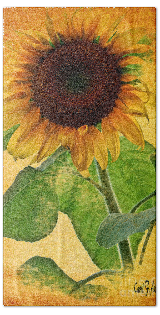 Sunflower Hand Towel featuring the photograph Sunny Sunflower Wall Art by Carol F Austin