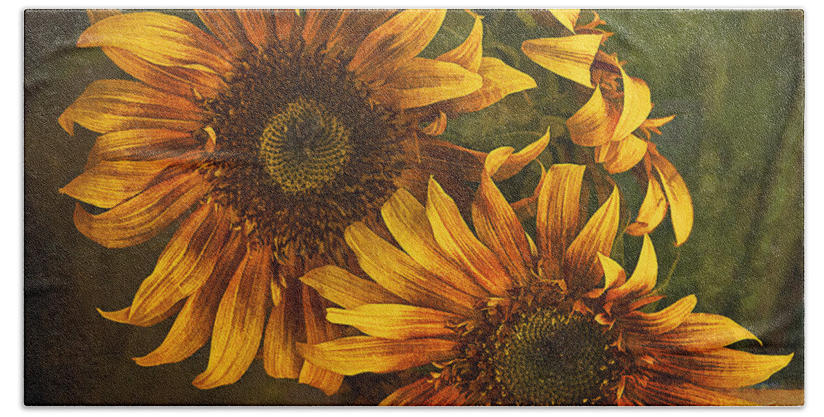 Sunflowers Bath Towel featuring the photograph Sunflower Trio by Priscilla Burgers