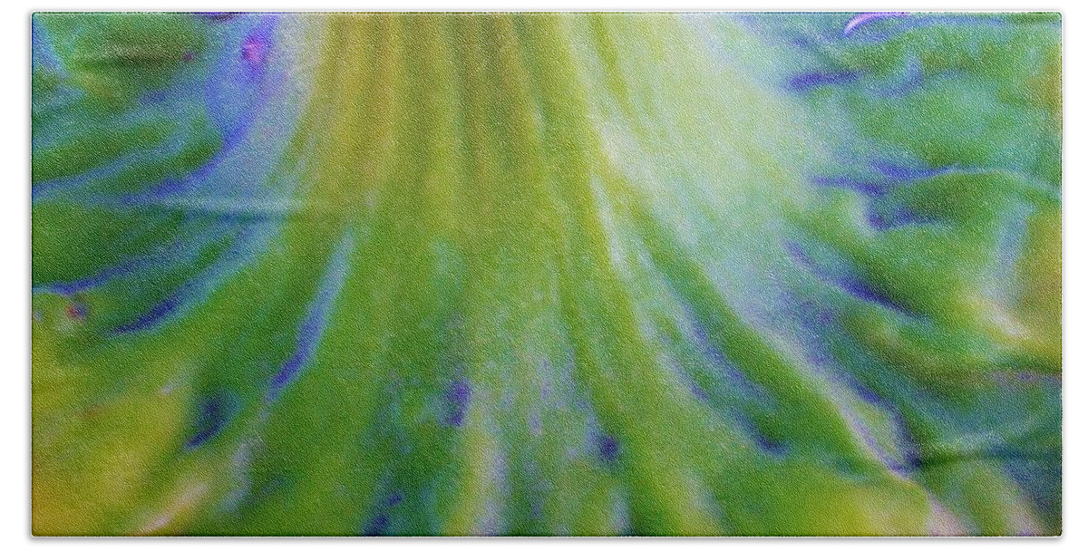 Sunflower Bath Towel featuring the photograph Sunflower...Moonside 2 by Daniel Thompson