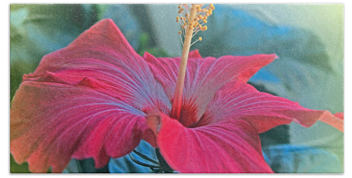 Hibiscus Bath Towel featuring the photograph Sunny Hibiscus by Bonnie Willis