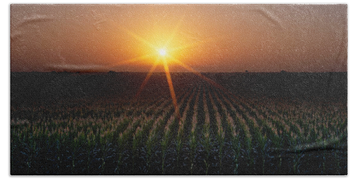 Photography Bath Towel featuring the photograph Sunrise, Crops, Farm, Sacramento by Panoramic Images