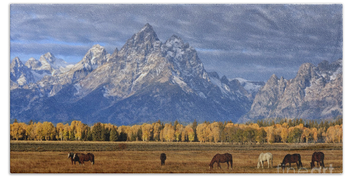 Wyoming Bath Towel featuring the photograph Sunrise Grazing by Mark Kiver