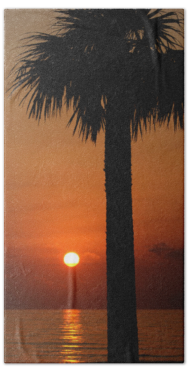 Sun Hand Towel featuring the photograph Sunrise in Daytona Beach by Chauncy Holmes