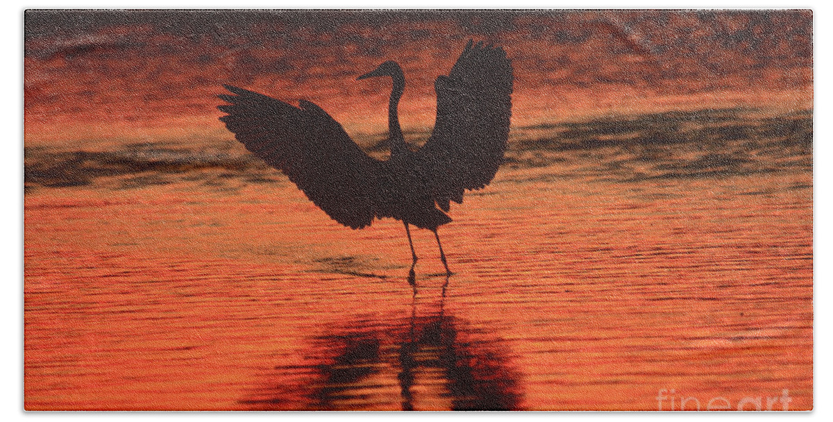 Landscapes Bath Towel featuring the photograph Sunset Dancer by John F Tsumas