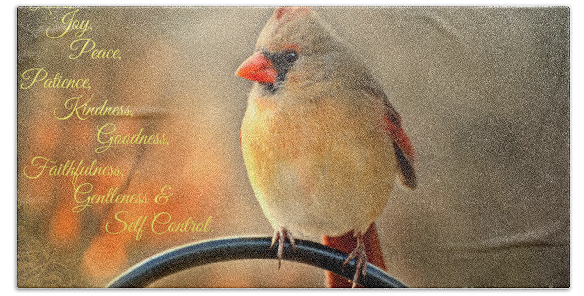 Bird Bath Towel featuring the photograph Sunset Lady - Female Cardinal with verse by Debbie Portwood