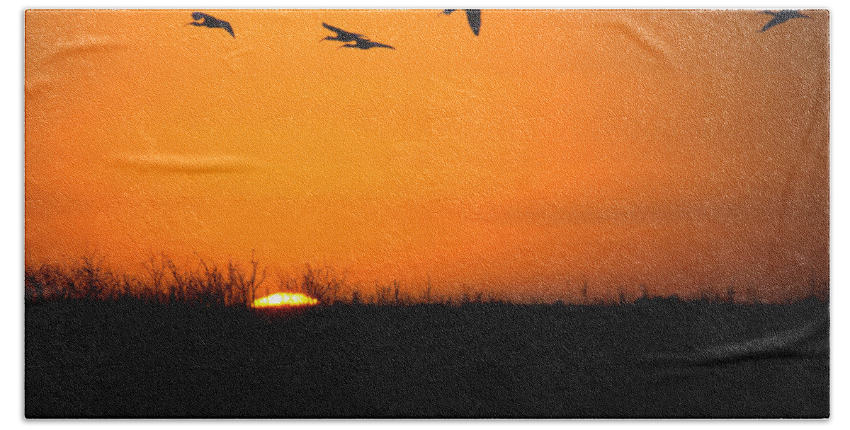 Ibis Bath Towel featuring the photograph Sunset of the Ibis by Mark Andrew Thomas