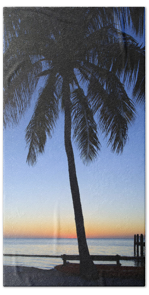 Bayshore Bath Towel featuring the photograph Sunset Palm by Raul Rodriguez
