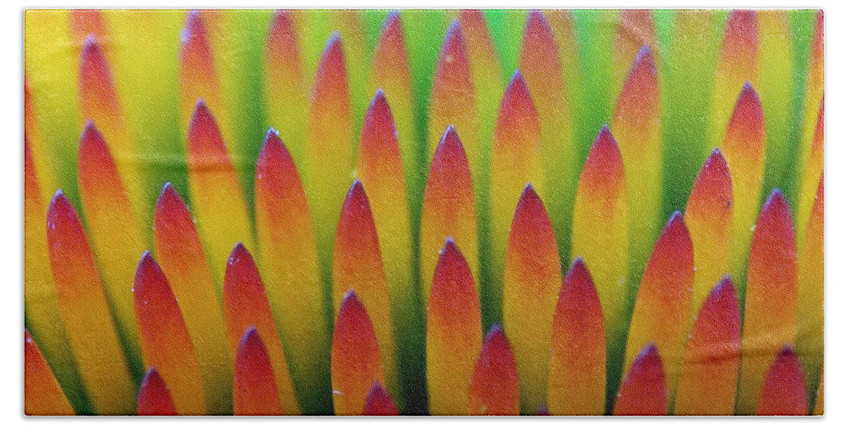 Cone Flowers Bath Towel featuring the photograph Super Macro of Echinacea Cone Flower by Ernest Echols
