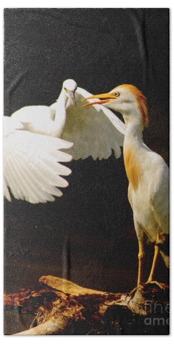 Animal Hand Towel featuring the photograph Suprised Cattle Egret by Robert Frederick