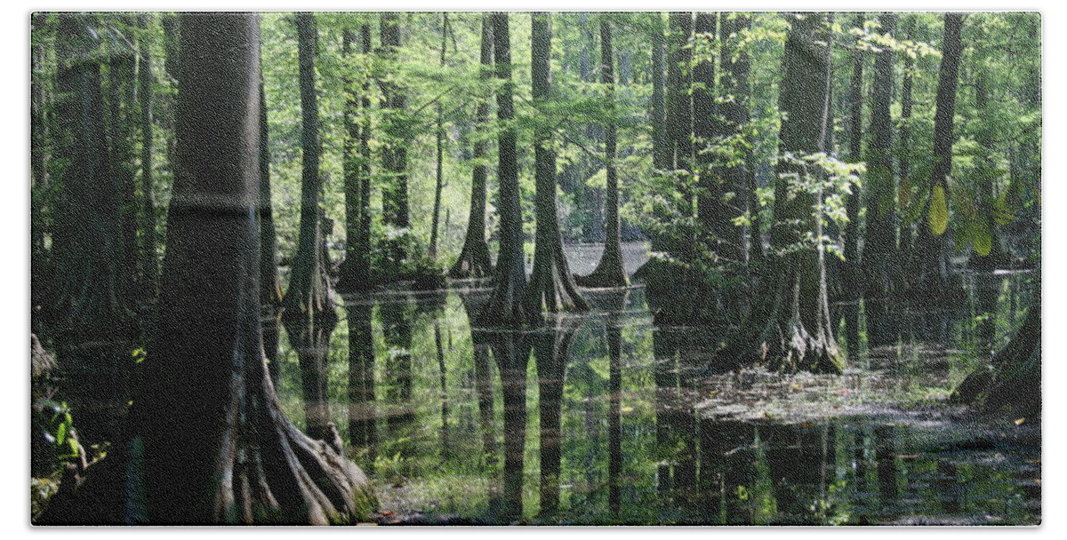 Cypress Bath Towel featuring the photograph Swamp Land by Cathy Harper