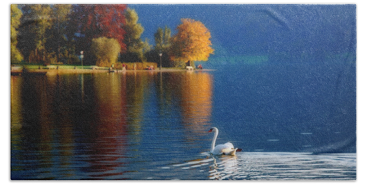 Beautiful Bath Towel featuring the photograph Beautiful Autumn Swan at Lake Schiliersee Germany by Ginger Wakem