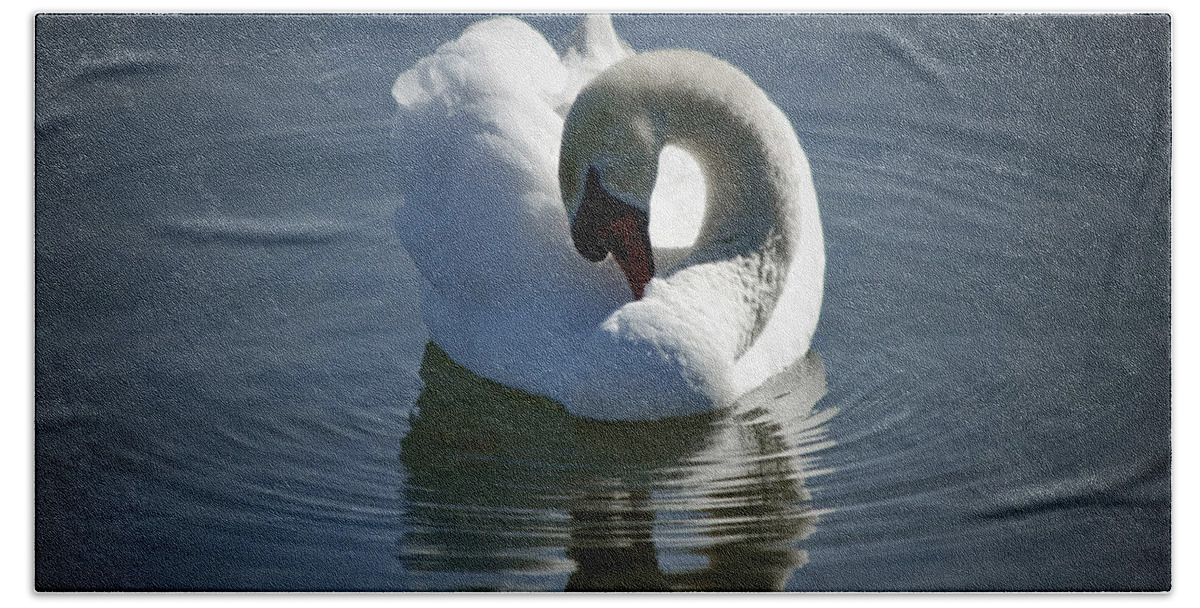 Swan Bath Towel featuring the photograph Swan Lake by Pennie McCracken