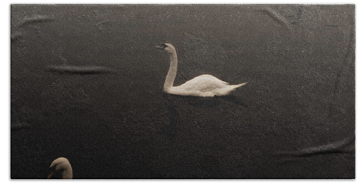Swans Hand Towel featuring the photograph Swan Lake Sepia by Joseph Hedaya