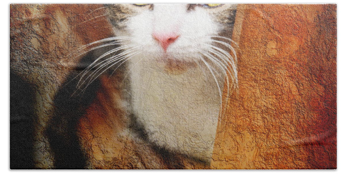 Cat Bath Towel featuring the photograph Sweet Innocence by Andee Design