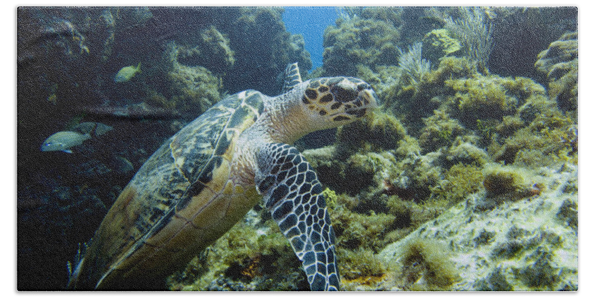 Caribbean Bath Towel featuring the photograph Swimming with a sea turtle by Matt Swinden