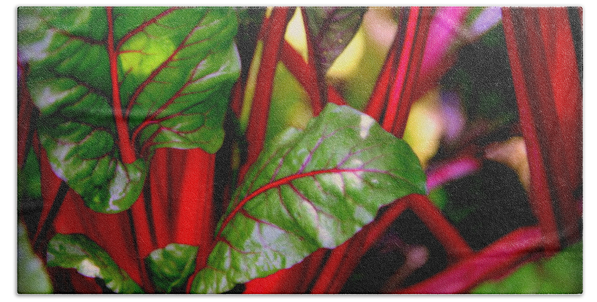 Kettuce Bath Towel featuring the photograph Swiss Chard Forest by Karen Wiles