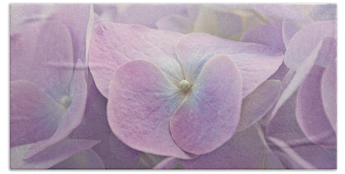 Hydrangea Hand Towel featuring the photograph Symphony in Purple by Kim Hojnacki