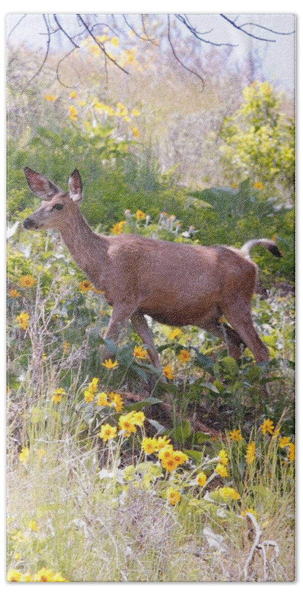 Deer Bath Towel featuring the photograph Taking a Stroll in the Country by Athena Mckinzie
