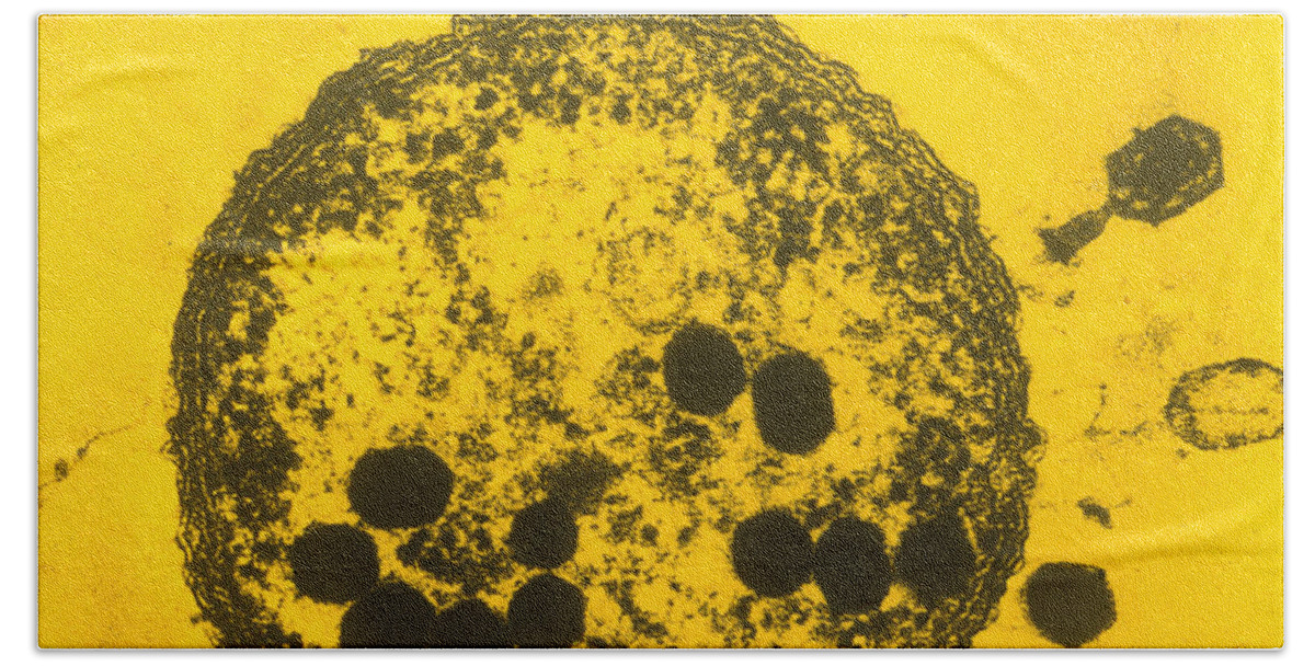 Micrograph Hand Towel featuring the photograph Tem Of Bacteriophages by Lee D. Simon