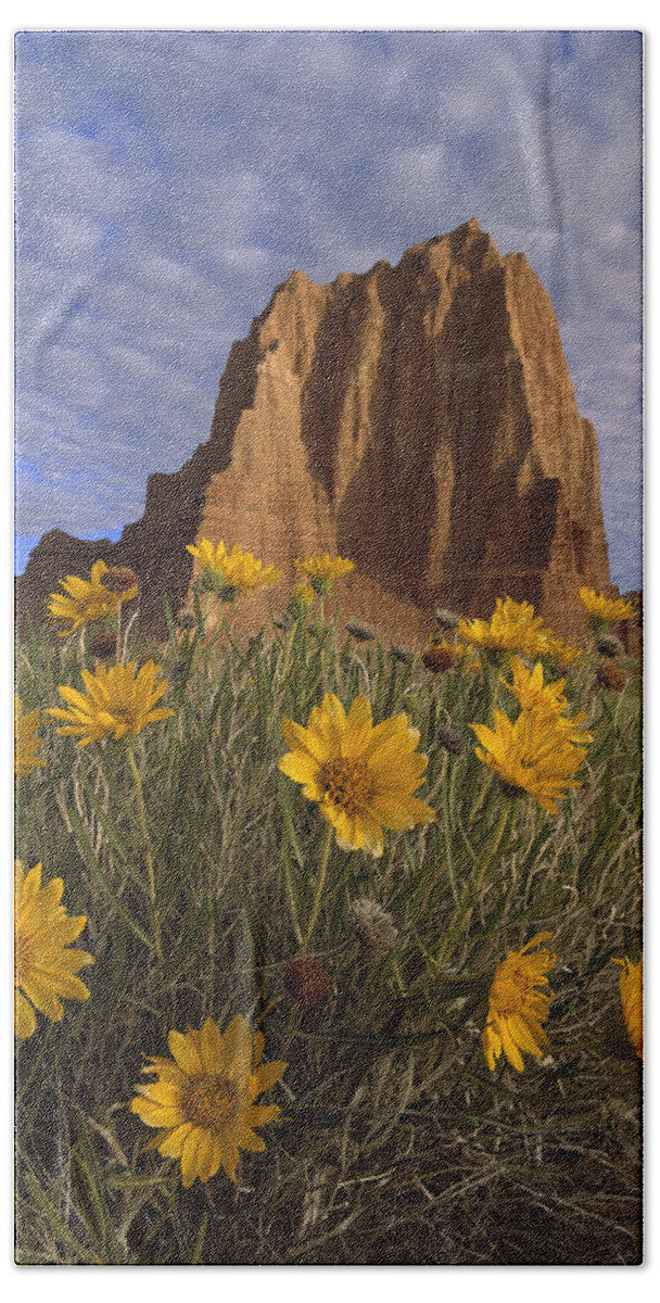 Feb0514 Hand Towel featuring the photograph Temple Of The Sun With Sunflowers by Tim Fitzharris