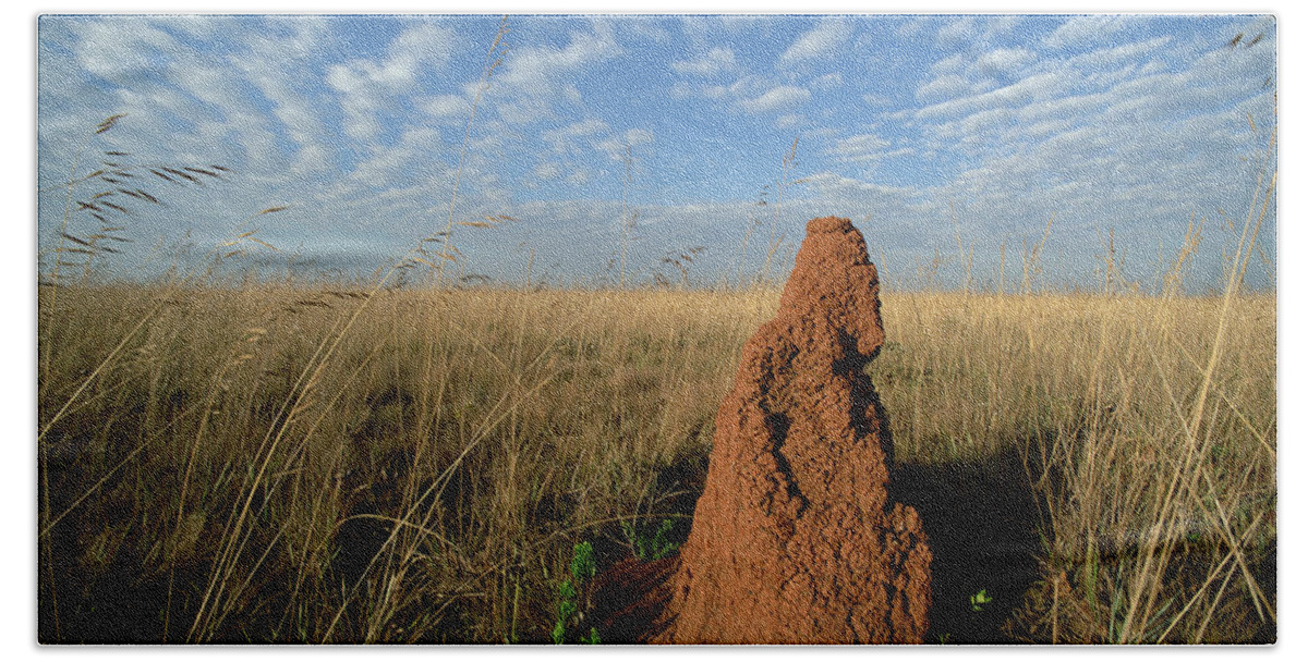 Feb0514 Hand Towel featuring the photograph Termite Mound In Cerrado Grassland Emas by Tui De Roy