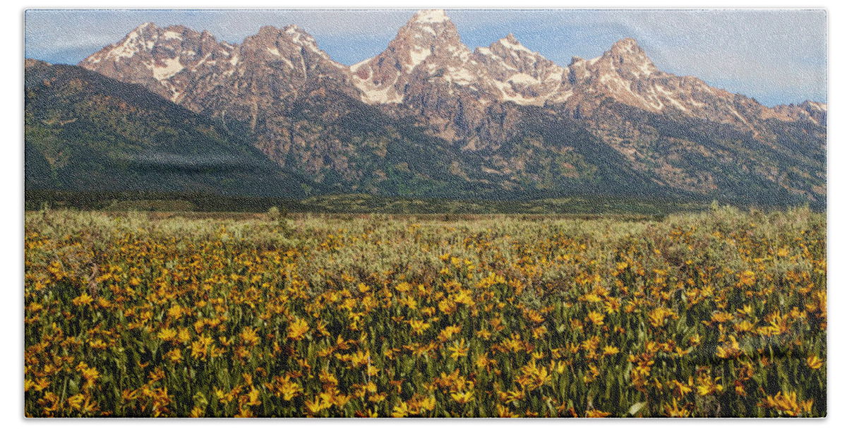 Mountains Bath Towel featuring the photograph Tetons and Yellow by Edward R Wisell