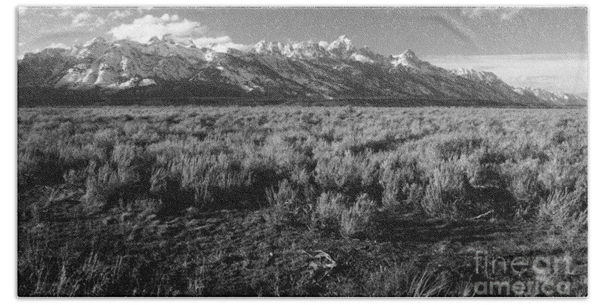 Tetons Bath Towel featuring the photograph Tetons in Black and White by Edward R Wisell