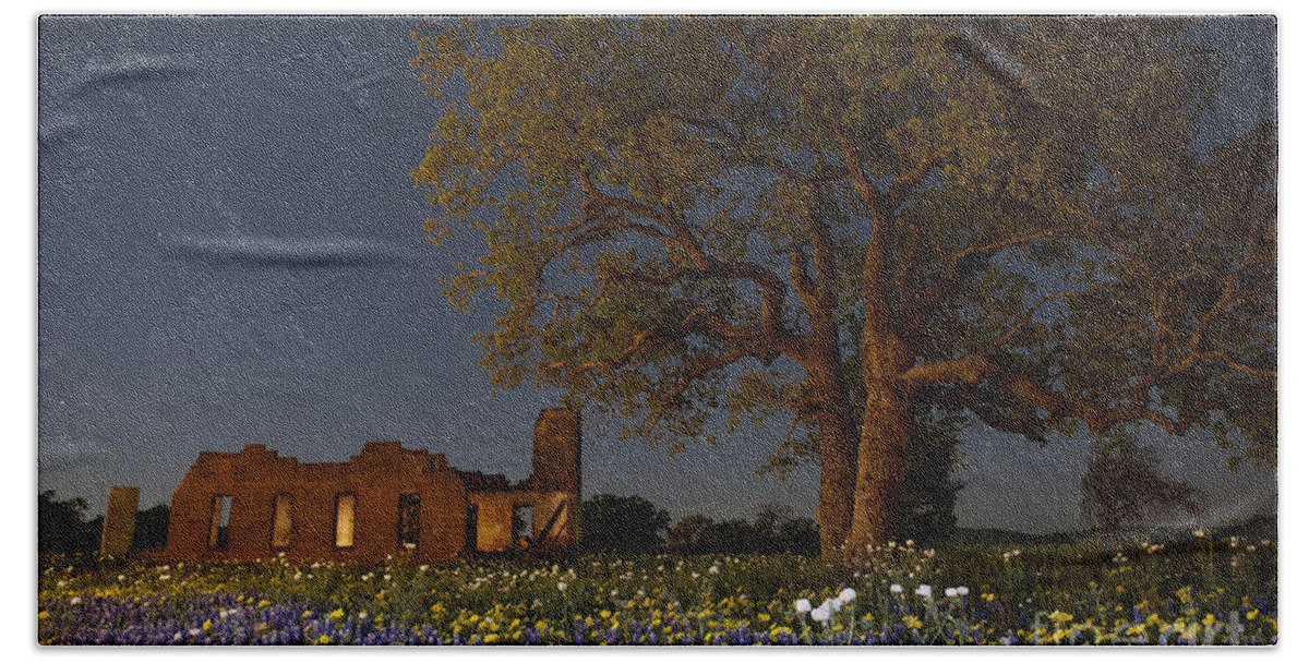 Texas Blue Bonnets Hand Towel featuring the photograph Texas Blue Bonnets at Night by Keith Kapple