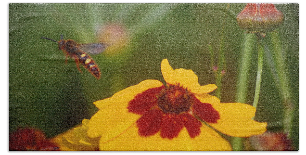 Flower Bath Towel featuring the photograph Textured Bee by Leticia Latocki