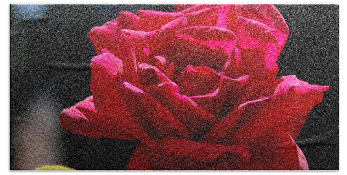 Rose Hand Towel featuring the photograph That Which We Call A Rose by Eric Tressler