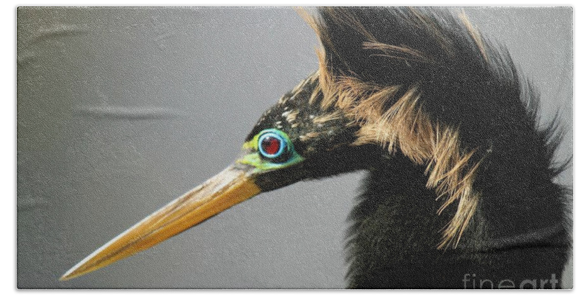 Anhinga Hand Towel featuring the photograph The 80's Look by Adam Jewell