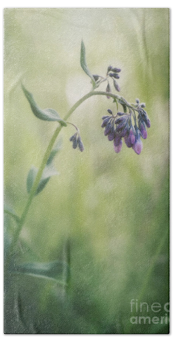 Mertensia Paniculata Hand Towel featuring the photograph The Arrival Of Spring by Priska Wettstein