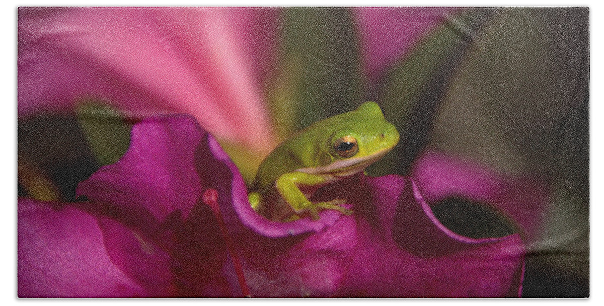 Frog Hand Towel featuring the photograph The Azalea Bed by Charlotte Schafer