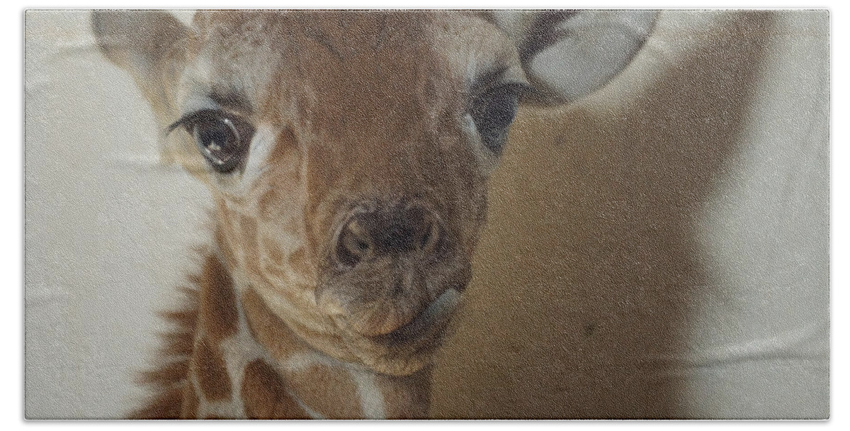 Animals Bath Towel featuring the photograph The Baby Giraffe by Ernest Echols