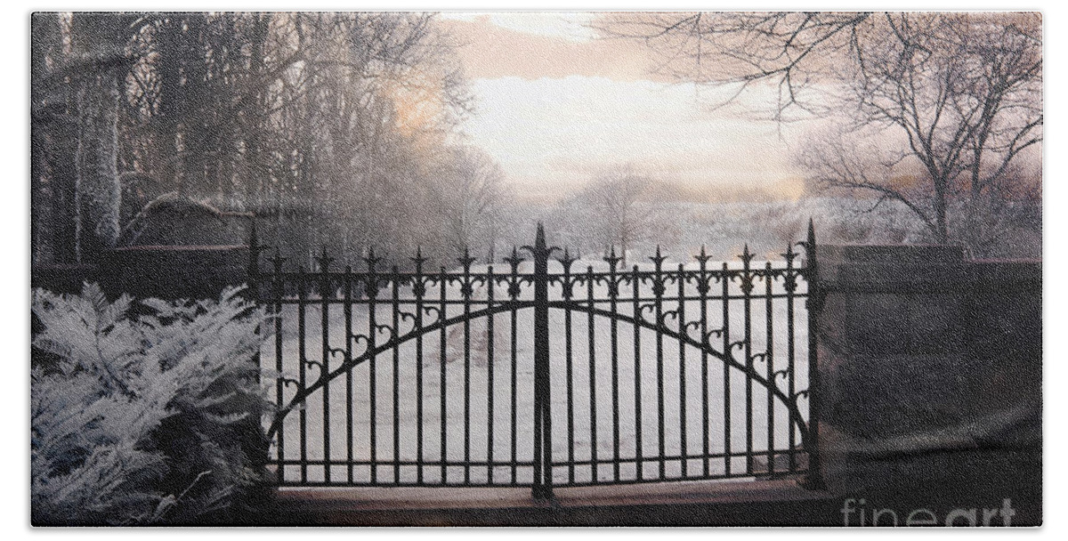 The Biltmore House Gates - Biltmore Estate Mansion Gate Nature