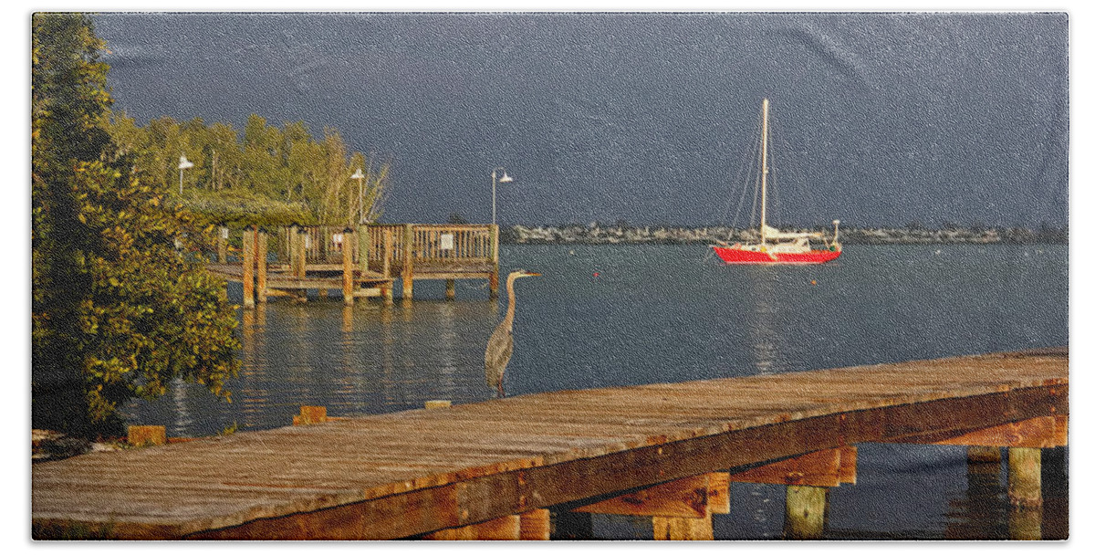 Great Blue Heron Bath Towel featuring the photograph The Casual Observer by HH Photography of Florida