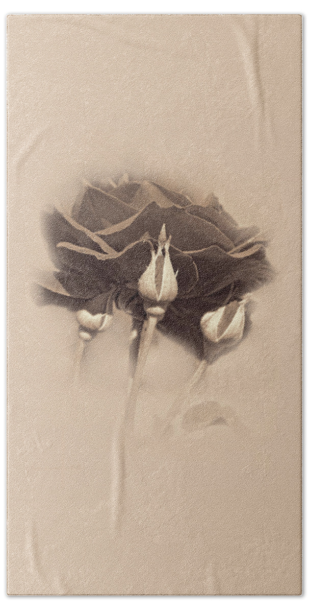 Rose Bath Towel featuring the photograph The Chocolate Rose Flower by Jennie Marie Schell