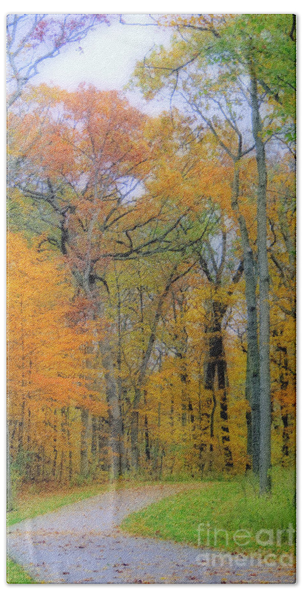 Autumn Bath Towel featuring the photograph The Colors Of Autumn by Kay Novy