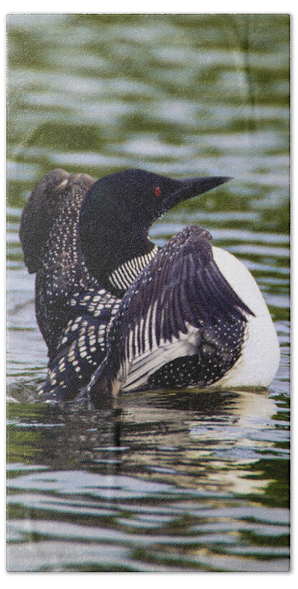 Bird Bath Towel featuring the photograph The Common Loon by Bill and Linda Tiepelman